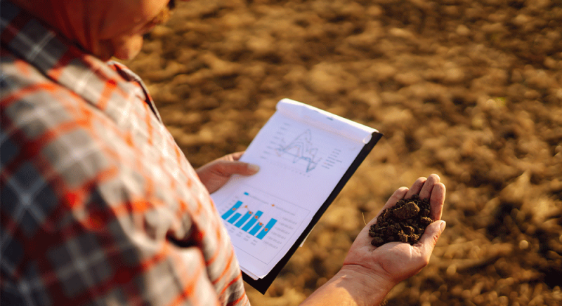 Análise de dados se torna estratégica na gestão agrícola