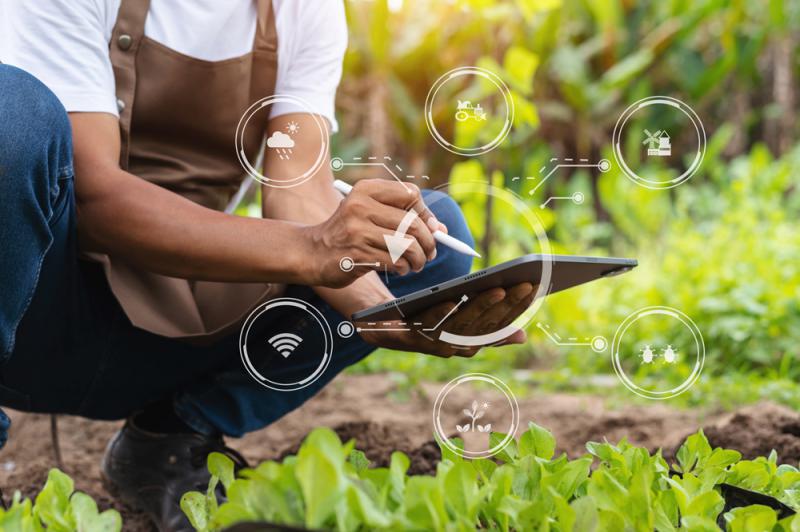 Inteligência artificial da Agrorede moderniza o agronegócio brasileiro!